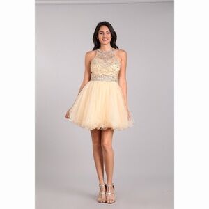 CHAMPAGNE Rhinestone Party Dress 1635